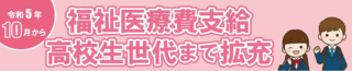 福祉医療費.PNG