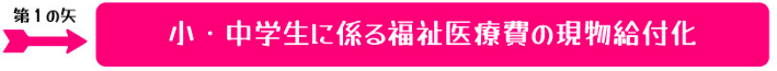 福祉医療 (1).PNG